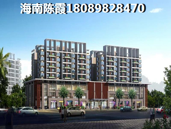 海南中域·百花谷性价比怎么样？